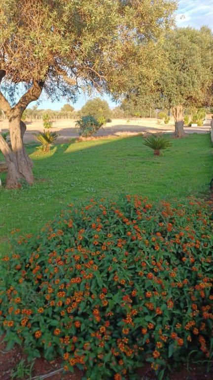 Santo Pietro  Il Casale Colle San Pietroヴィラ エクステリア 写真
